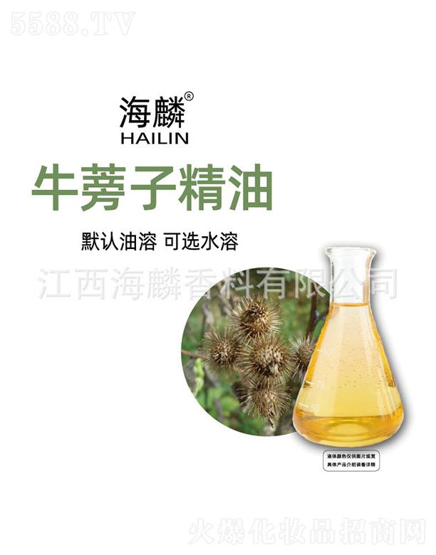 ����ţ���Ӿ���