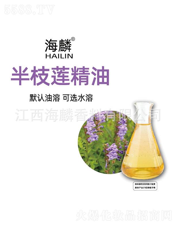 �����֦ɏ����