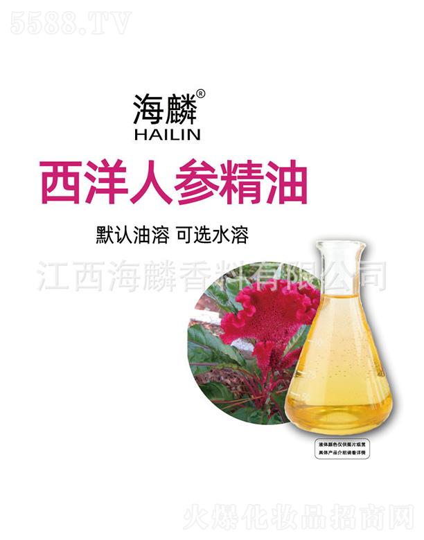 ���������˅�����