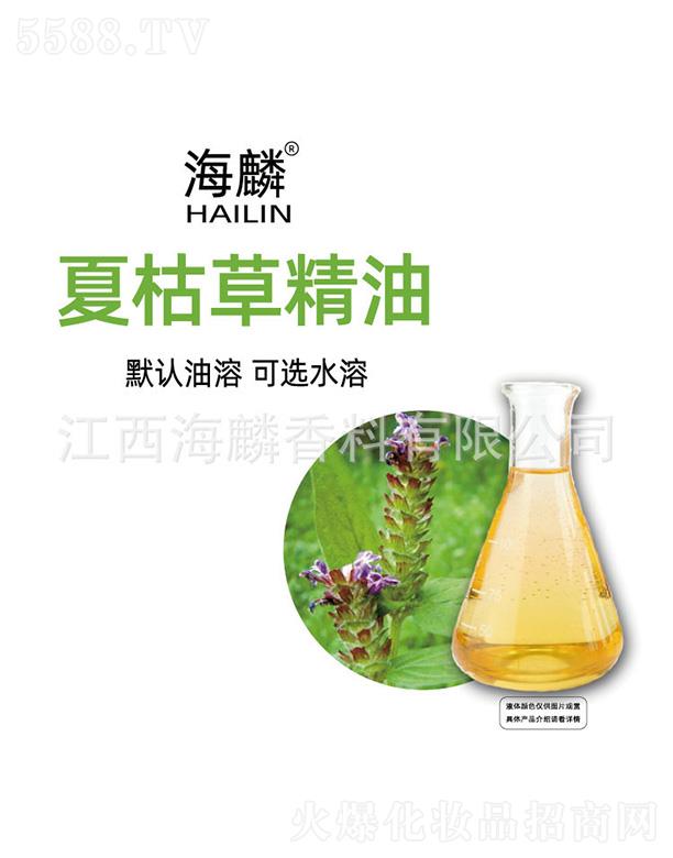 �����Ŀݲݾ���