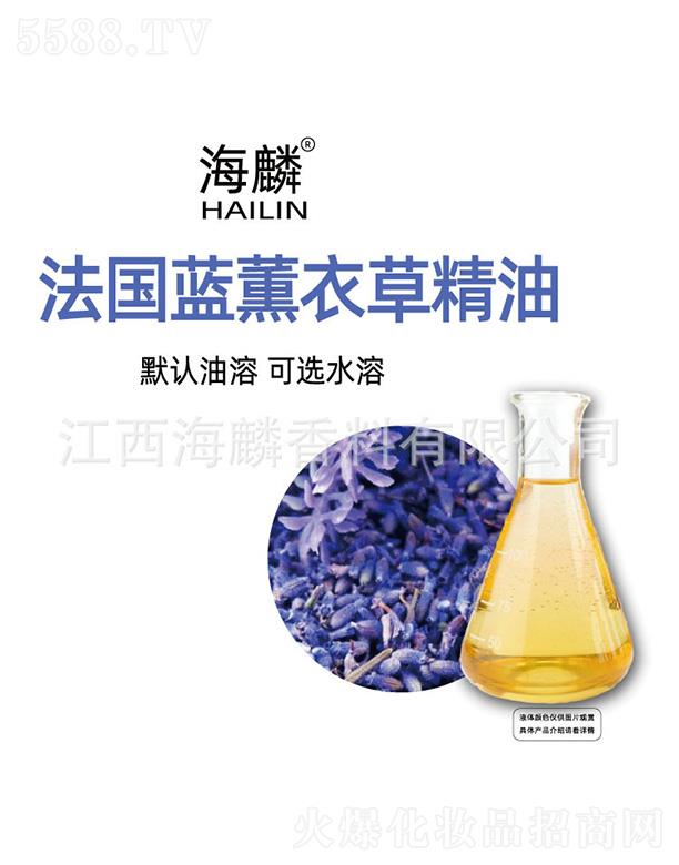 ���뷨���{(l��n)޹�²ݾ���