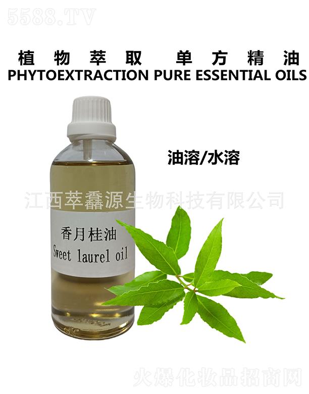 ���QԴ���¹���