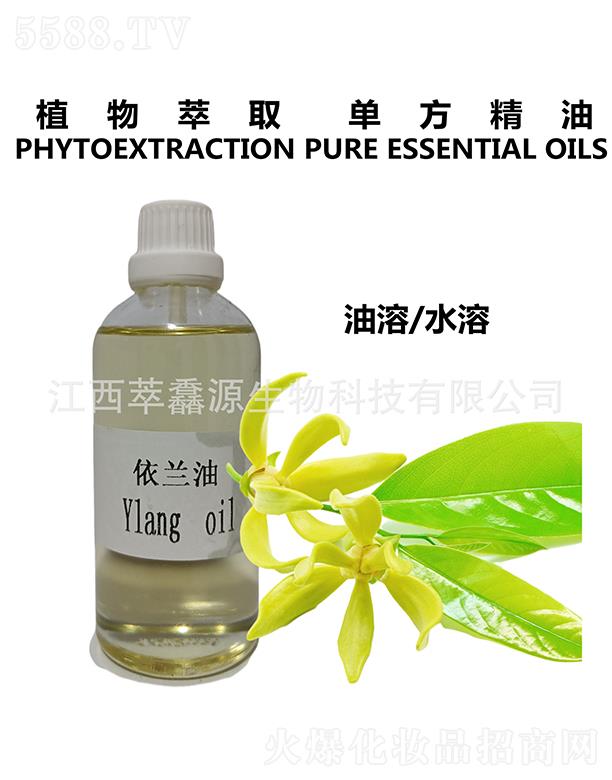 ���QԴ���m��