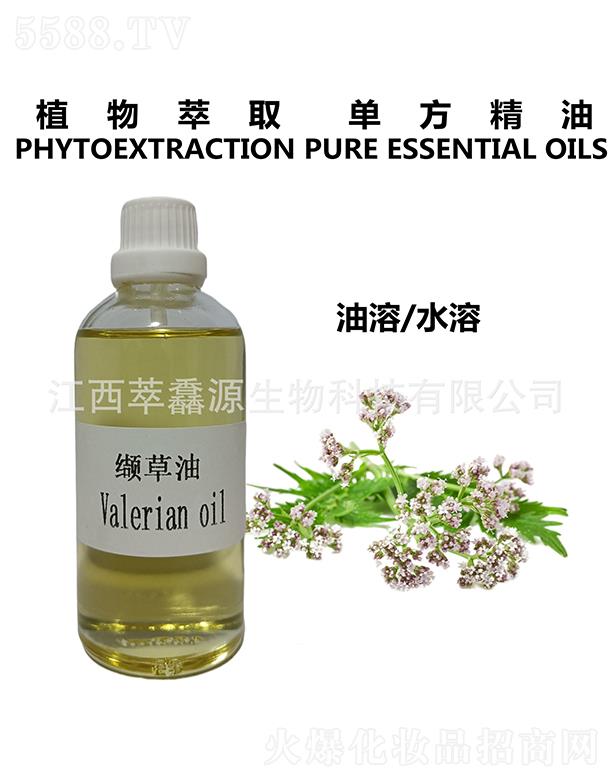 ���QԴ�i����