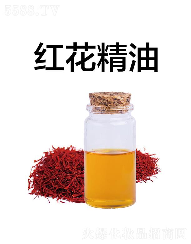 ���üt������