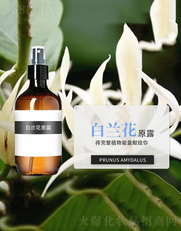 ���m��ԭ¶