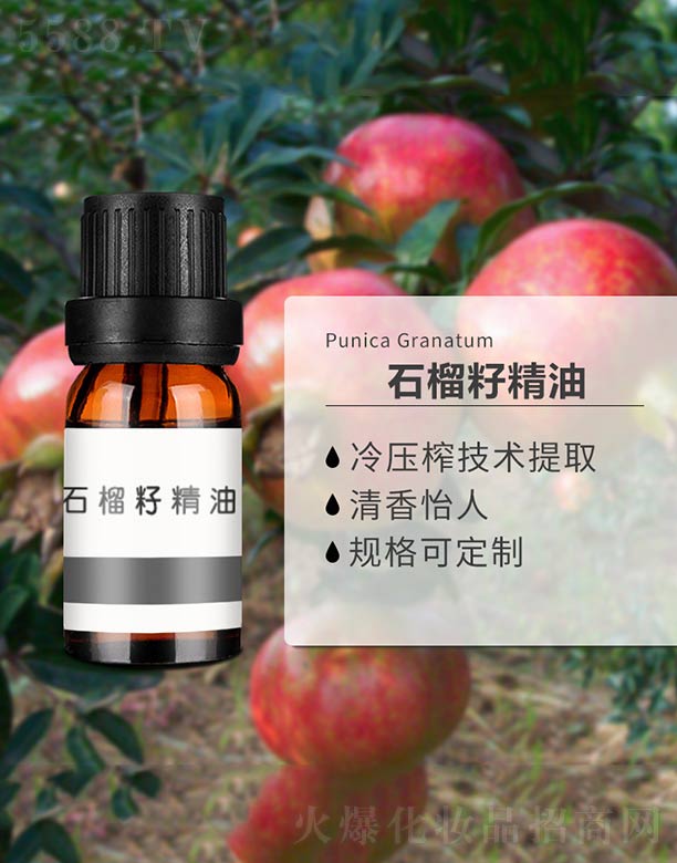 ʯ���Ѿ���