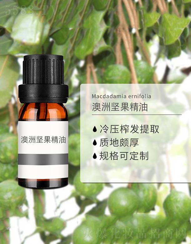 ���ވԹ�����