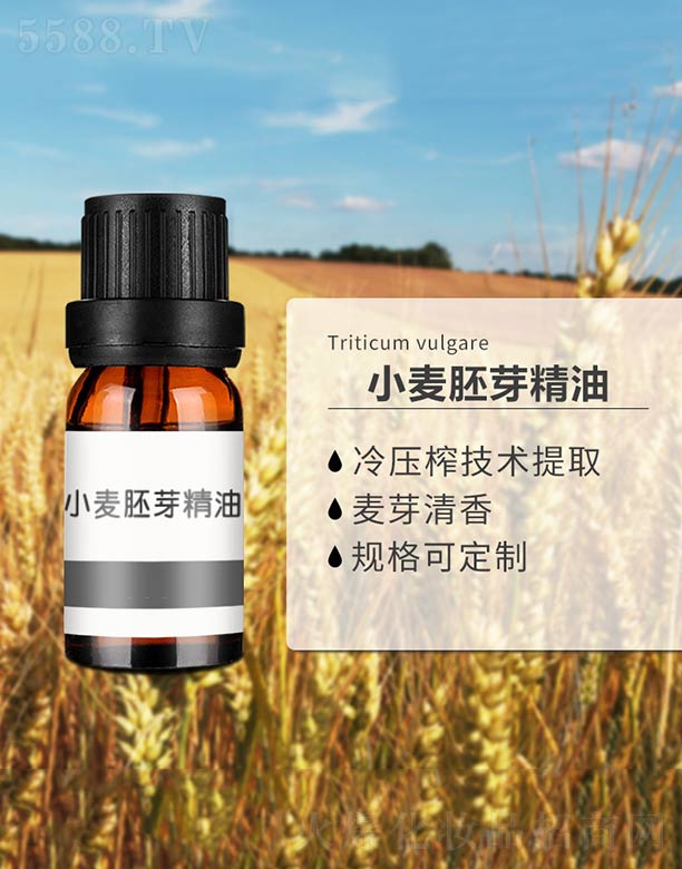 С����ѿ����