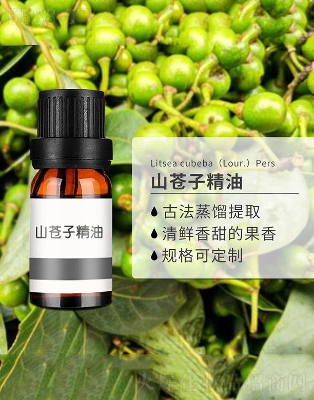 ɽ�n�Ӿ���