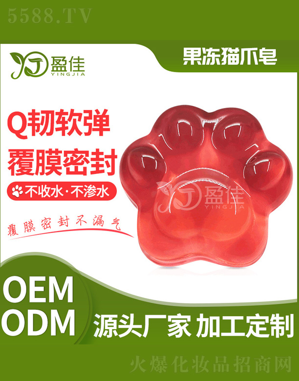 ����؈צ��������