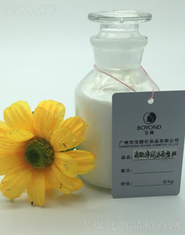 �V�݌���弡��������Ħ�z