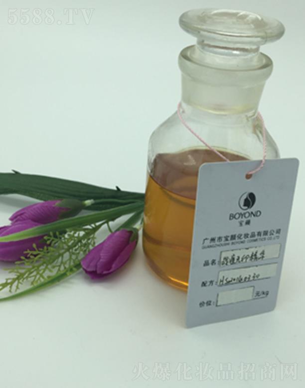 �V�݌��(zh��n)���oӡ���A