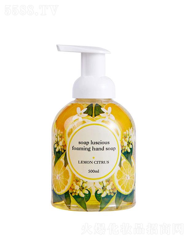 ���ŵ�(    ���ŵ�ϴ��Һ   �坍�o(h��)�w