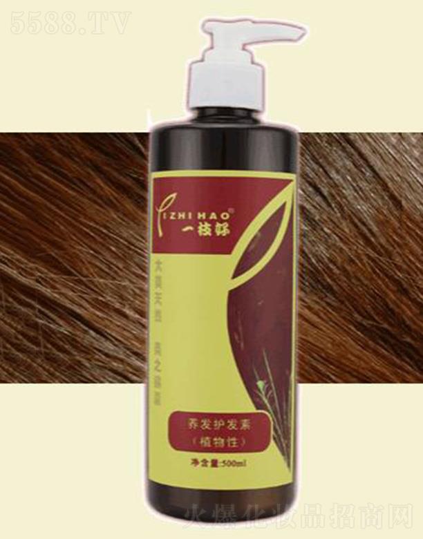 һ֦���B(y��ng)�l(f��)�o�l(f��)��(500ml) �^�l(f��)������호��Џ���