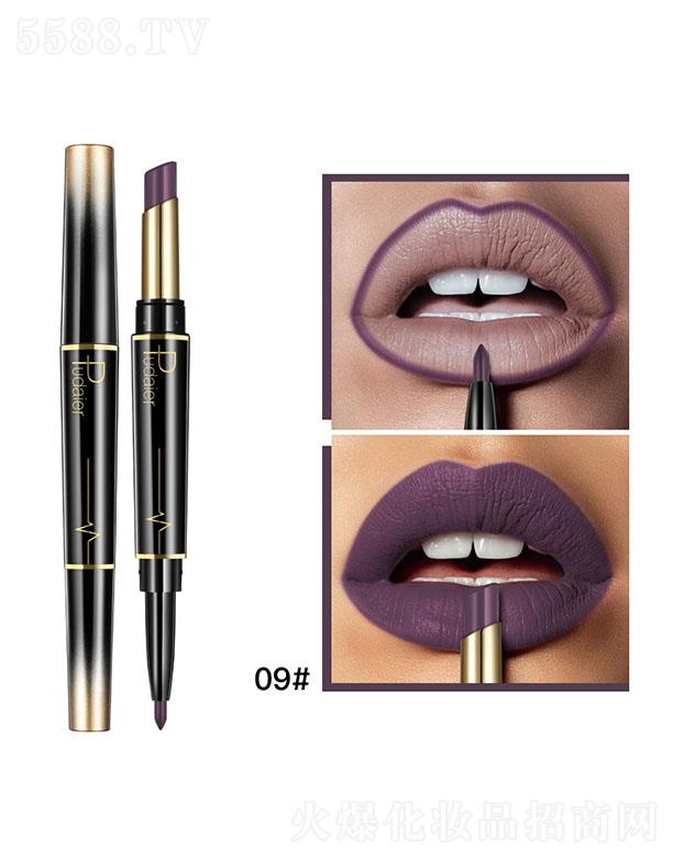 Pudaier�p�^�ڼt�����P09#