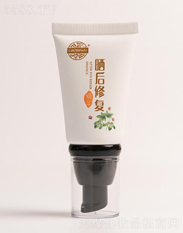 �����t(y��)����ޏ�(f��)���A 40g���Ѽ��w����