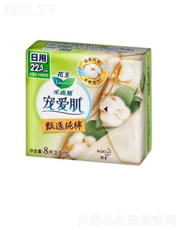 �����Ō��ۼ����x���޽z����22.5cm��8p��ס������ܛ