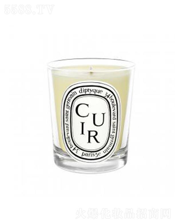 diptyuqe���Ϟ�T-Ƥ��