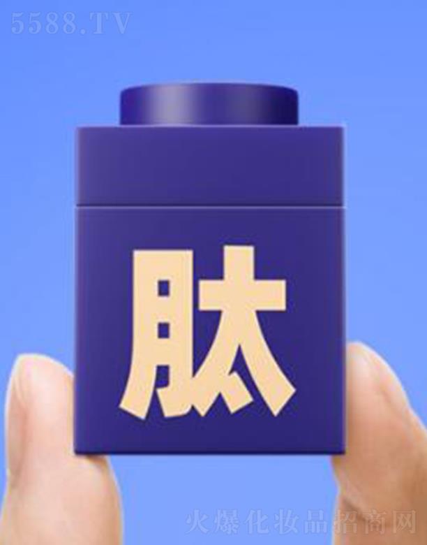 C���{(l��n)�~����(x��)�w���A��Ĥ