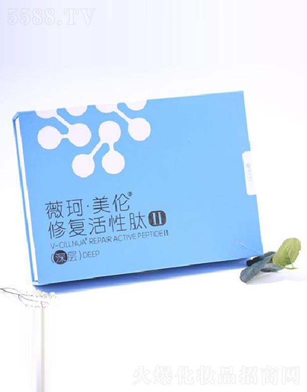 ޱ�������ޏͻ�����II