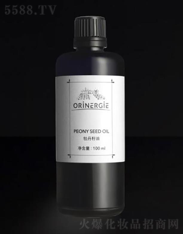 ORiNERGiEĵ������