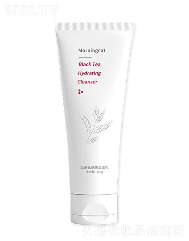 Ԫ��؈�t�谱���ᝍ����