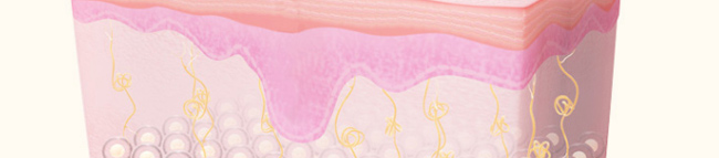 �����p���������x���o��