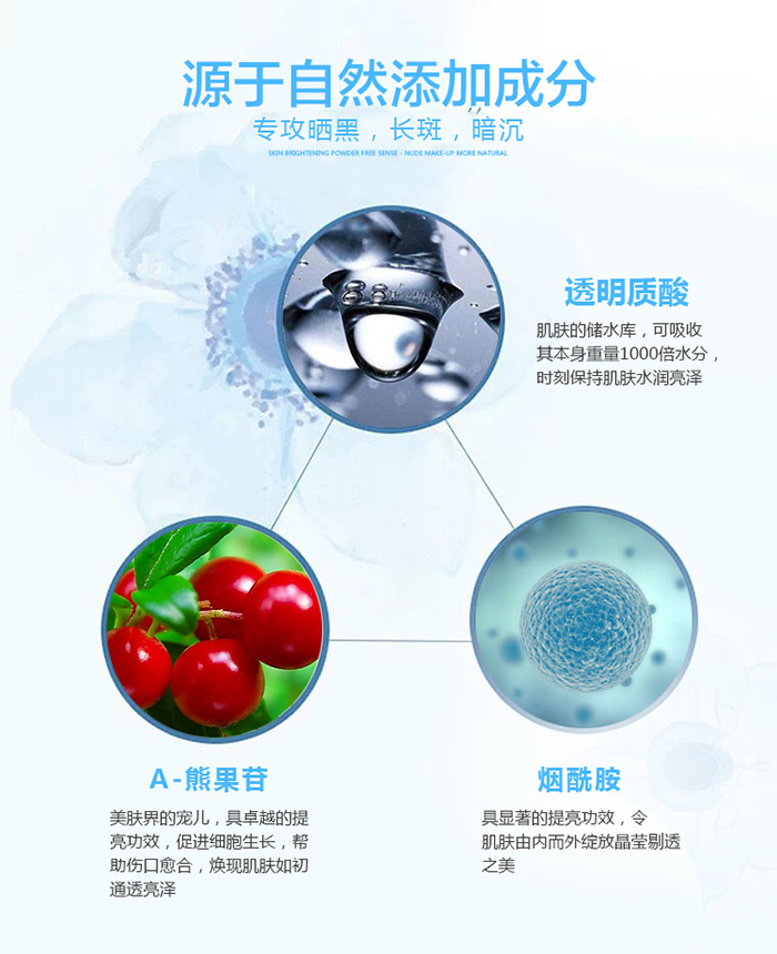 ���������������͸��Ĥ