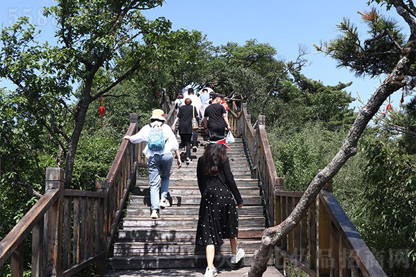 ���мtɫ�������W�����W��(j��ng)�䣬�𱬾W(w��ng)2021�Ͼ�ɽ֮�ã�