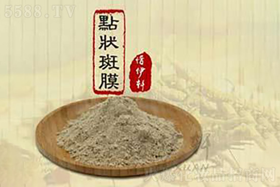 ϧ��܎�c���Ĥ