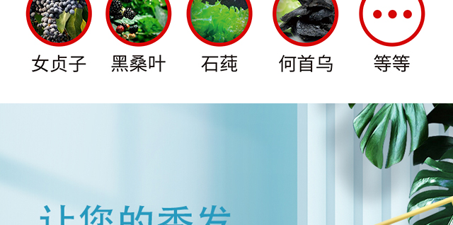 ���լ������o(h��)�l(f��)˪