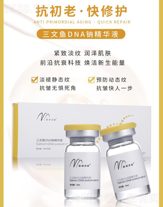 ���Xɯ�������~DNA�{���AҺ